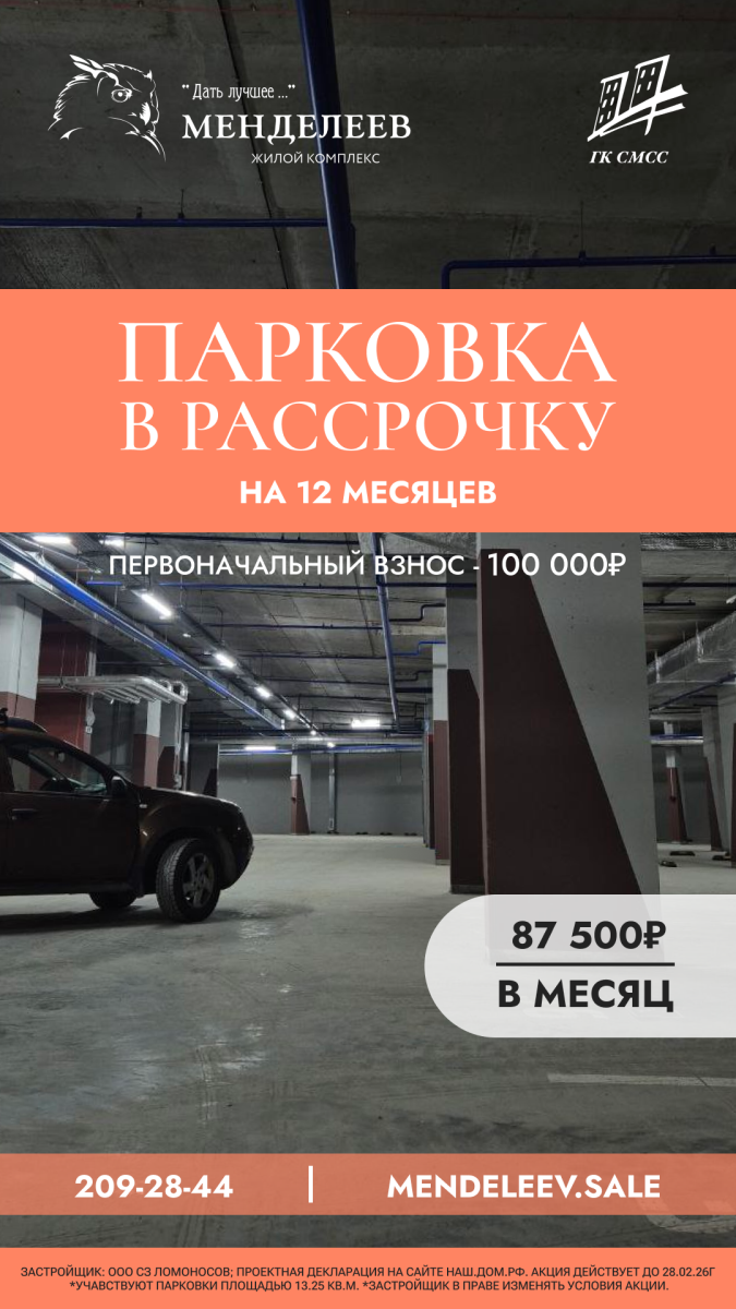 Менделеев Парковка